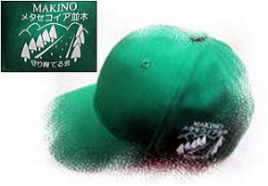 �����񍐎ʐ^