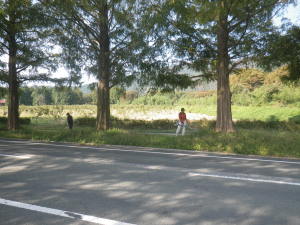 �����񍐎ʐ^